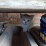 Puertas Automaticas Talleres Marín Cuadra S L - Logroño